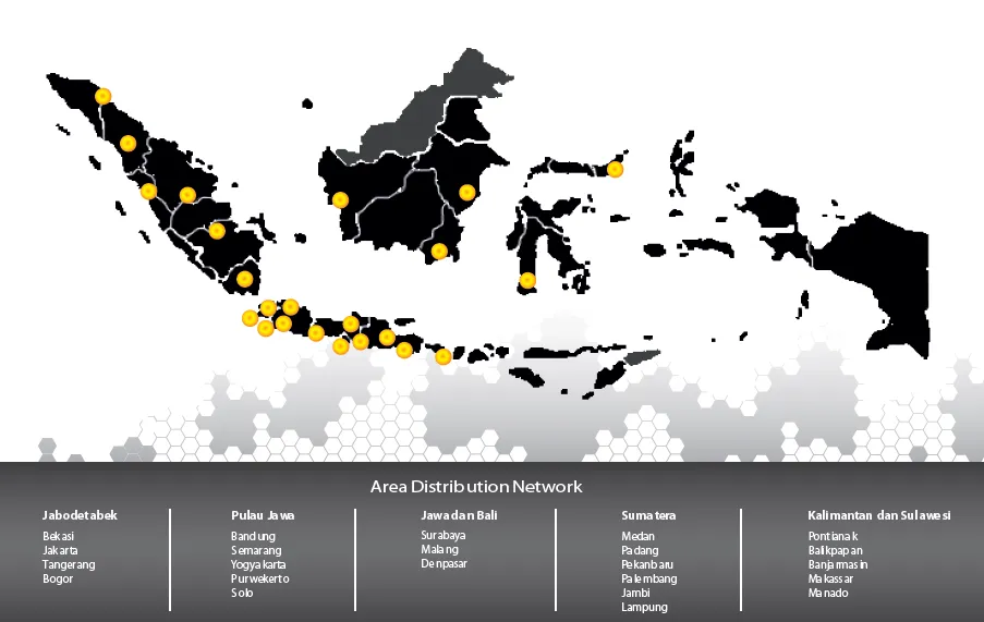 Page Distribution Network 